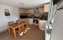 Casa individuala cu gradina, 157.50 mp, zona Mehala 