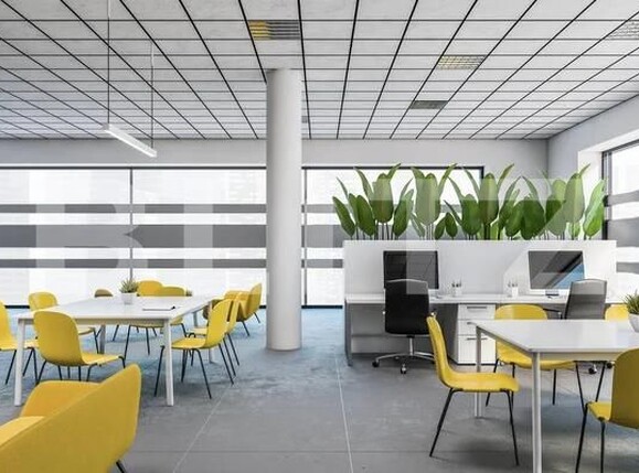 Spațiu birouri de închiriat Complex Studentesc - 193539SIB | BLITZ Timișoara | Poza1