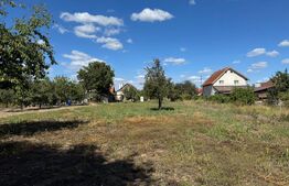 Casă veche cu teren generos în vatra veche Șag