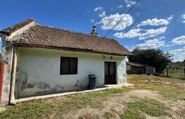 Casă veche cu teren generos în vatra veche Șag
