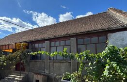 Casa de vânzare 4 camere Giarmata-Vii - 193693CV | BLITZ Timișoara | Poza4