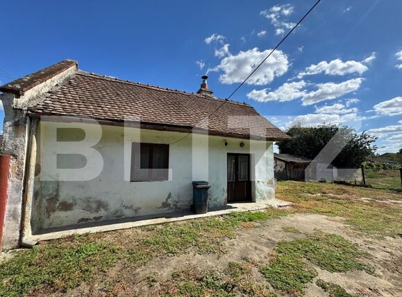 Casa de vânzare 5 camere Sag - 193593CV | BLITZ Timișoara | Poza3