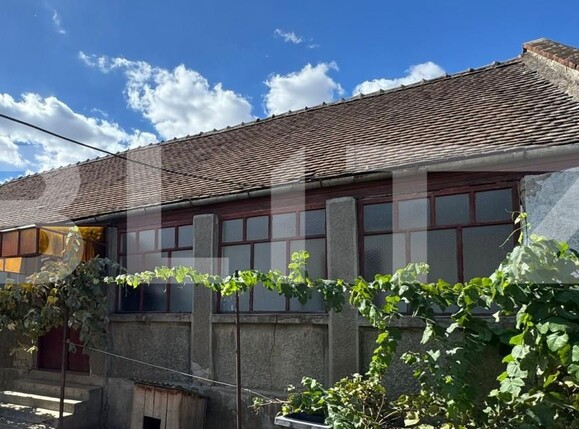 Casa de vânzare 5 camere Sag - 193593CV | BLITZ Timișoara | Poza1