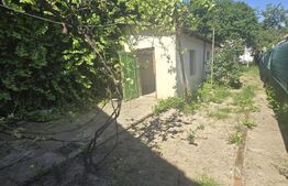 Casa nemteasca 3 camere Timisoara