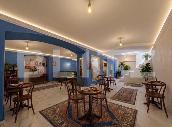 Spațiu comercial de închiriat Ultracentral - 193897SIC | BLITZ Timișoara | Poza2