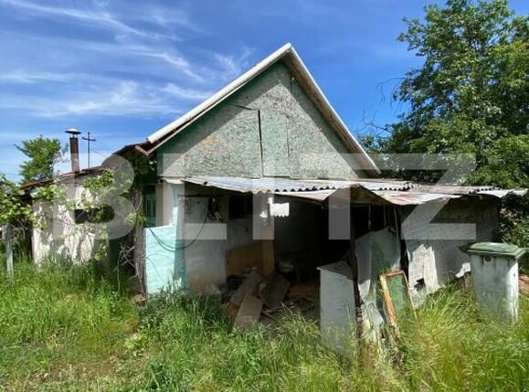 Casa de vânzare 2 camere Dragsina - 194014CV | BLITZ Timișoara | Poza4