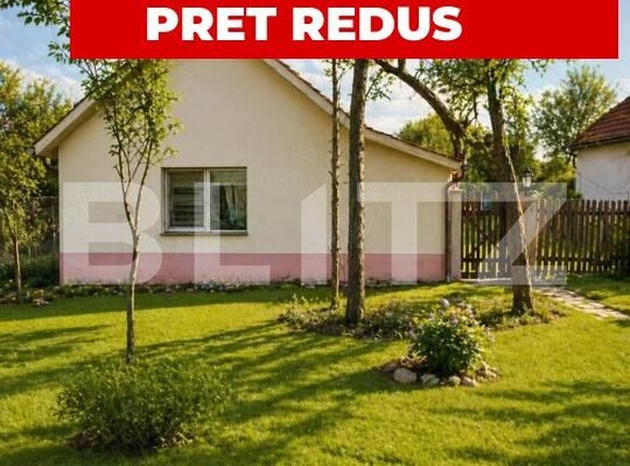 Casa de vânzare 2 camere Dragsina - 194014CV | BLITZ Timișoara | Poza1