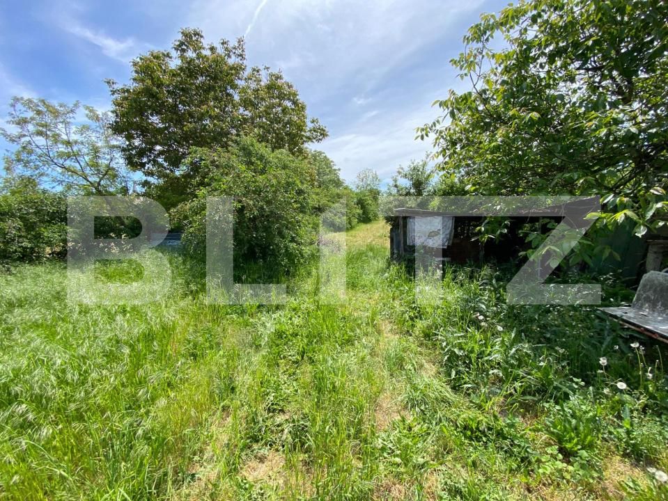 Casa de vânzare 2 camere Dragsina - 194014CV | BLITZ Timișoara | Poza5