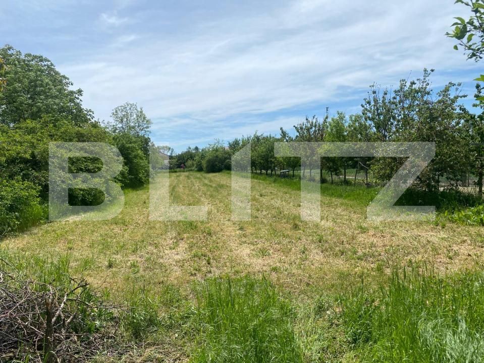 Casa de vânzare 2 camere Dragsina - 194014CV | BLITZ Timișoara | Poza6