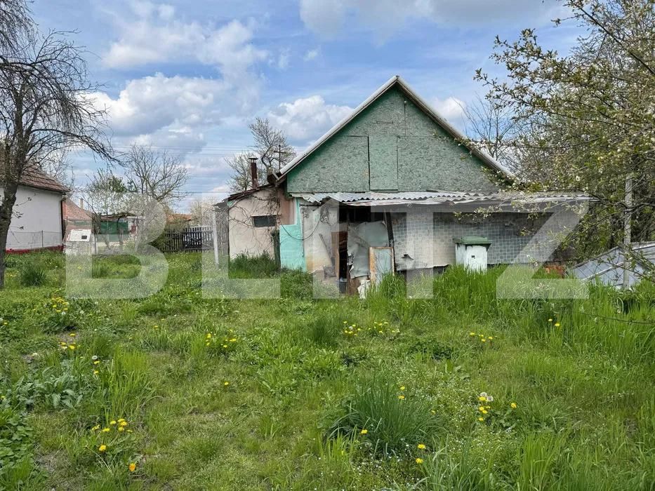 Casa de vânzare 2 camere Mosnita Noua - 194014CV | BLITZ Timișoara | Poza4