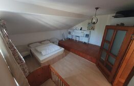 Casă spațioasă, complet mobilată și utilată – 235 mp utili, teren 1600 mp Utvin
