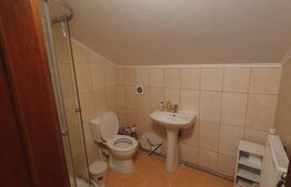 Casă spațioasă, complet mobilată și utilată – 235 mp utili, teren 1600 mp Utvin
