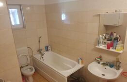 Casă spațioasă, complet mobilată și utilată – 235 mp utili, teren 1600 mp Utvin
