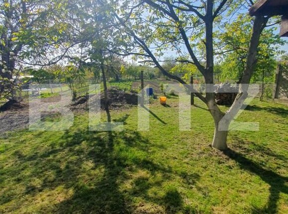 Casa de vânzare 6 camere Utvin - 194050CV | BLITZ Timișoara | Poza18