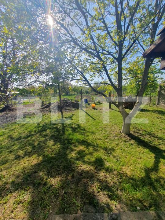 Casa de vânzare 6 camere Utvin - 194050CV | BLITZ Timișoara | Poza18
