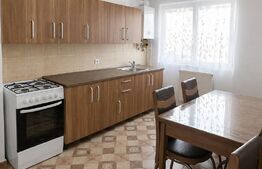 Apartament 2 camere, 50 mp utili + POD locuibil 60mp, acoperiș nou, Aradului