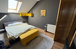 Casa individuala de vanzare Sanandrei zona centrala 156mp utili 655mp teren