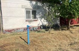 Casa de vânzare 4 camere Criciova - 197750CV | BLITZ Timișoara | Poza1
