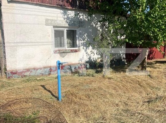 Casa de vânzare 4 camere Otvesti - 194268CV | BLITZ Timișoara | Poza1