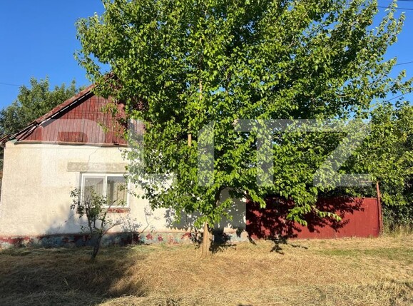 Casa de vânzare 4 camere Otvesti - 194268CV | BLITZ Timișoara | Poza2