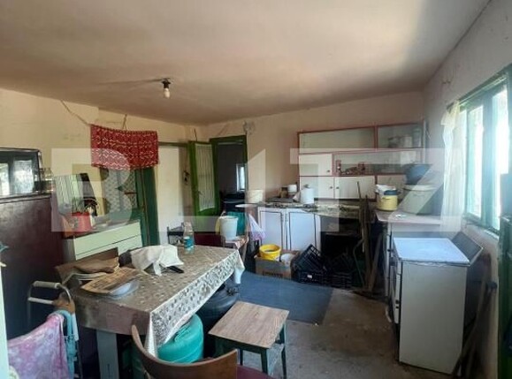 Casa de vânzare 4 camere Otvesti - 194268CV | BLITZ Timișoara | Poza6