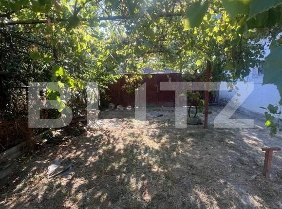 Casa de vânzare 4 camere Otvesti - 194268CV | BLITZ Timișoara | Poza9