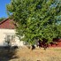 Casa de vânzare 4 camere Otvesti - 194268CV - Poza 1 din 13 | BLITZ Timișoara | Poza1