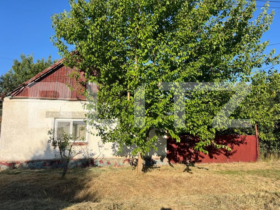 Casa de vânzare 4 camere Otvesti - 194268CV | BLITZ Timișoara | Poza2