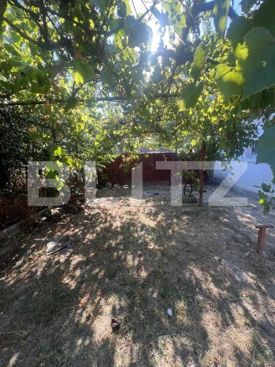 Casa de vânzare 4 camere Otvesti - 194268CV | BLITZ Timișoara | Poza9