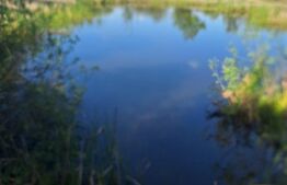 Teren de vânzare 1.600 mp cu deschidere la lac – zona Lacul Surduc