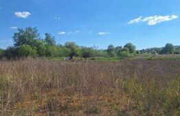 Teren de vânzare 1.600 mp cu deschidere la lac – zona Lacul Surduc