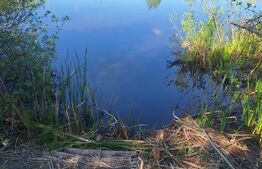 Teren de vânzare 1.600 mp cu deschidere la lac – zona Lacul Surduc