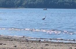 Teren de vânzare 1.600 mp cu deschidere la lac – zona Lacul Surduc