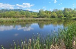 Teren de vânzare 1.600 mp cu deschidere la lac – zona Lacul Surduc