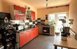 Casă individuală, 190 mp, curte generoasă cu grădină, zona Ronaț