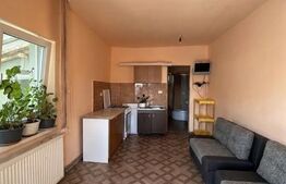 Casă individuală, 190 mp, curte generoasă cu grădină, zona Ronaț