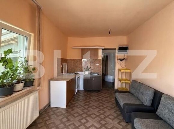 Casa de vânzare 5 camere Ronat - 194537CV | BLITZ Timișoara | Poza8
