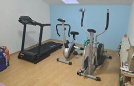 Casa 3 nivele mobilata, 170 mp, gradina mare, zona Iosefin 