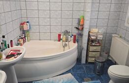 Casa 3 nivele mobilata, 170 mp, gradina mare, zona Iosefin 