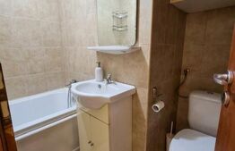 Garsonieră, 24 mp, parter, mobilată, zona Freidorf 