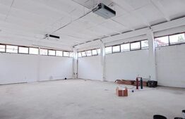 Spatiu comercial versatil, 262 mp, zona Freidorf