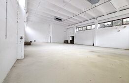Spatiu comercial versatil, 262 mp, zona Freidorf