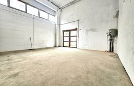 Spatiu comercial versatil, 262 mp, zona Freidorf