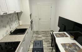 Apartament 1 camera, 32mp utili, Giroc (Zone 2)