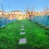 Casa de vânzare 4 camere Calea Urseni - 194769CV - Poza 1 din 12 | BLITZ Timișoara | Poza8