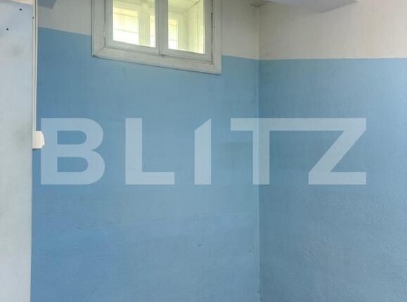 Spațiu comercial de închiriat Balcescu - 195027SIC | BLITZ Timișoara | Poza3