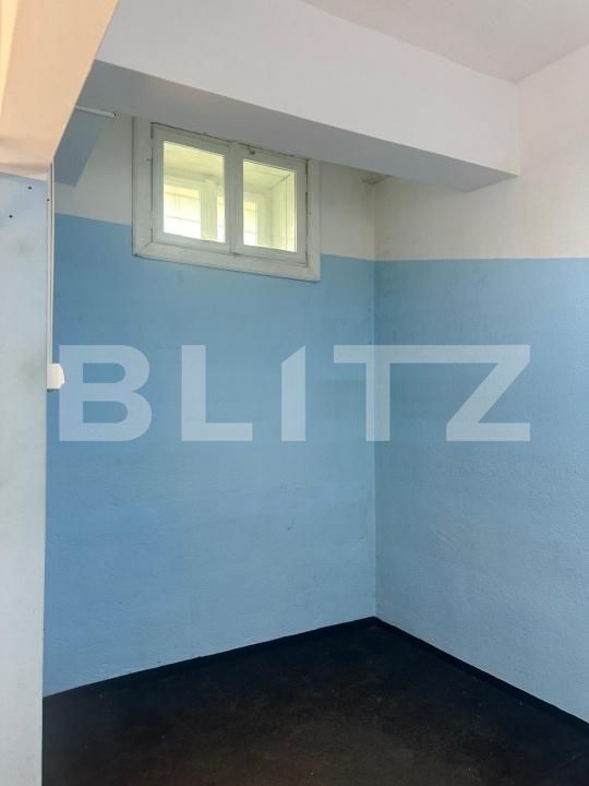 Spațiu comercial de închiriat Balcescu - 195027SIC | BLITZ Timișoara | Poza3