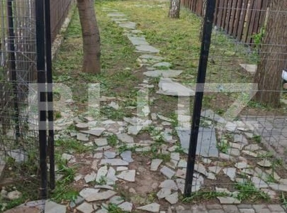 Casa de închiriat 4 camere Dumbravita - 195097CI | BLITZ Timișoara | Poza17