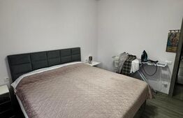 Apartament 3 camere Dumbravita 