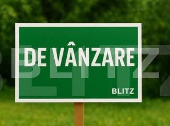 Teren de vânzare Sagului - 195340TV | BLITZ Timișoara | Poza1
